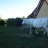 cours-mosaico-11.jpg