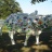 la_vache_de_vaisselle.jpg