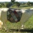 ola_vache_mosaique.jpg