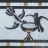 Josiane_oiseaux.jpg