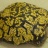 Tortue.jpg