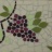 dessous-de-plat-2-pauline.jpg