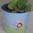 pot-de-fleur.jpg