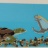 mosaique-canet-en-roussillon.jpg
