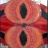 original-mosaique-cours-201.jpg