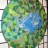 poisson-mosaique-eleve-2014.jpg
