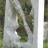 sculpture-de-l_os.jpg