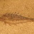 Fontaine-detail3.jpg